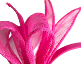 Max Alexander Sinamay Bow Fascinator Fuchsia