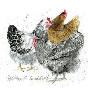 Greeting Card Feathers - Waiting